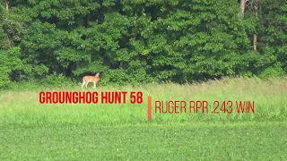 Groundhog Hunt 58 Ruger RPR .243 Win