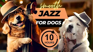Relaxing Jazz Music for Dogs and Puppies (10 Hours)