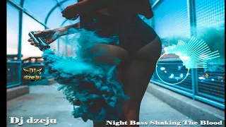 Dj dzeju   Night Bass Shaking The Blood Vol 37