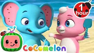 Animal Beach Day! | Animals for Kids | Funny Cartoons | Learn about Animals