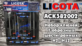 LICOTA ACK382002. Набор ключей Т-образных шестигранных H2 - H12.