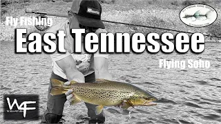 W4F - Fly Fishing East Tennessee with Flying Soho