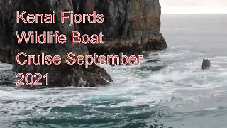 Kenai Fjords Boat Tour Reviews