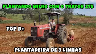 PLANTANDO MILHO COM O TRATOR 275 E COM A PLANTADEIRA DE 3 LINHAS !! TOP DEMAIS 😎🔝🚜