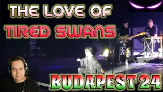 REACCION A DIMASH / THE LOVE OF TIRED SWANS EN EL CONCIERTO DE BUDAPEST 24