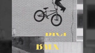 Las Mejores Marcas De Bici BMX