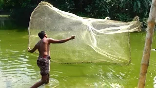 Net Fishing। Catching Lot of Fish By Cast Net। Fishing with beautiful nature (part - 37)