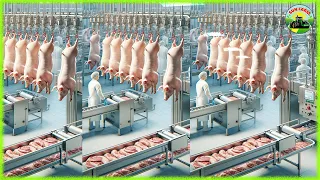 Pigs Farm-  China& USA- Which Pork Processing Plant is More Modern? Pork Processing Factory-SUN Farm