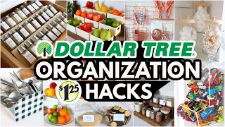 30 Dollar Tree Organization HACKS to get your HOME Organized in 2023