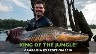 MONSTER ARAPAIMA! FISHING FOR HUGE ARAPAIMA IN THE AMAZON JUNGLE!