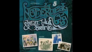 VA - Nederbeat Beat, Bluf & Branie 63 - 69 CD 5