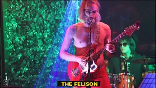 The Felison - Smells Like Fish