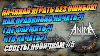 ✨Где качаться и фармить по началу?✨ ГДЕ МНОГО МИМИКОВ? Какие статы важны? Топ фармлоки! Anima ARPG