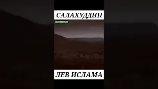 Салахуддин Лев Ислама