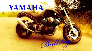 Yamaha Bulldog bt 1100 Обзор мотоцикла