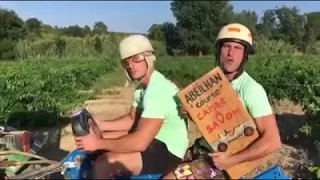 le 19 juin 2017 La Course de Caisse à Savon d'Abeilhan 2017