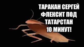 ТАРАКАН СЕРГЕЙ ФЛЕКСИТ ПОД ТАТАРСТАН 10 МИНУТ!