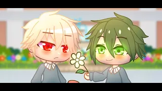 "Happy Birthday Kacchan! Here's a flower.." || BkDk || Bnha || BkDk Childhood