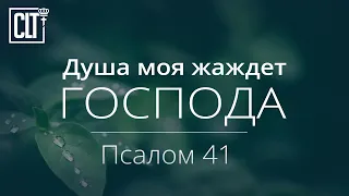 Душа моя жаждет Господа | Псалом 41 | Библия