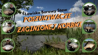 Poszukiwacze zaginionej korbki - Łowisko Borowy Staw