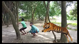 Must Watch New Funny Video 2021 Top New Comedy Video 2021 Try To Not Laugh Episode 1 By #Comedy_Fun