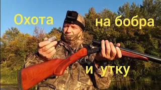 охота на бобра и утку #ружьё  мр 43#