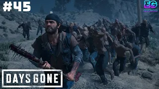 ПОПЫТКИ УНИЧТОЖИТЬ ОРДУ #45 / Days Gone / Жизнь после на Русском