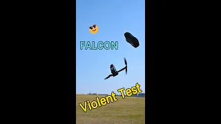 Violent Test - Falcon