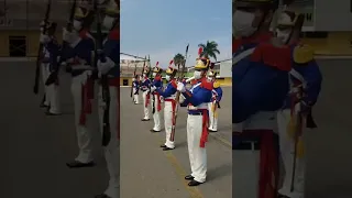 Ordem Unida sem Comando Granadeiros do exercito brasileiro