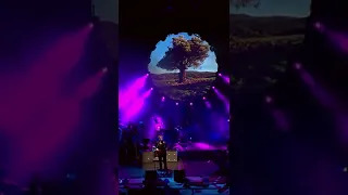 HIGH HOPES | Brit Floyd "The World's Greatest Pink Floyd Tribute Show" short 2