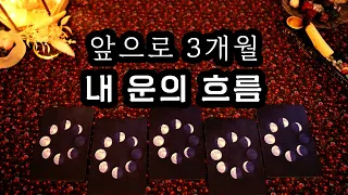 [타로] 앞으로 3개월, 내 운의 흐름