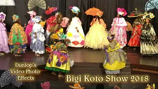 Koto Show 2018 from Irwin Goedhart