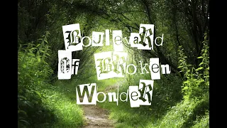 Boulevard Of Broken Dreams - Wonderwall - MishMashMoo