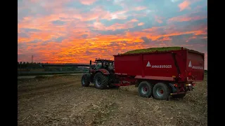 Siláže 2021| Corn silage 2021| Farma Tvarůžka | Krone Big X 500 | Case Puma,Maxxum,John Deere