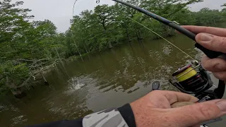 Catching TONS of fish on the James River ( VA Elite 70 Team Tournament Footage)