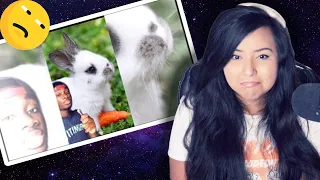 Rabbits Aren’t As Cute As You Think [REACTION]