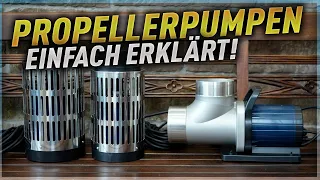 Ganz einfach erklärt! Propellerpumen 2023 - Alle neuen Modelle!