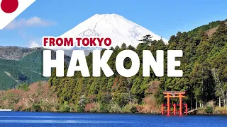 I Didn't Expect THIS When I Visited Hakone, Japan! (You Won't Believe It)
