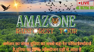 Amazon 4k - The World’s Largest Tropical Rainforest |Jungle Sounds|Scenic Relaxation Film