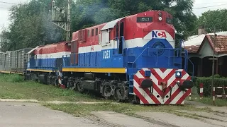 Tren vacío de NCA Rumbo a Villa María con la ALCO - 8263 / GT22 - 9095