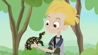 4-3. Братья Кратт - В черепашьем панцире / Wild Kratts - Box Turtled In!