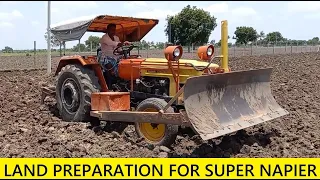 How to prepare Land to grow Super Napier / Super Napier green fodder in Tamil Nadu / Dairy Farming