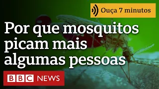 Por que mosquitos picam mais algumas pessoas que outras