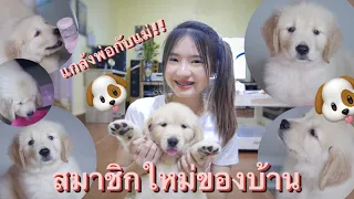 เปิดตัว!! สมาชิกใหม่ของบ้านโมจิ