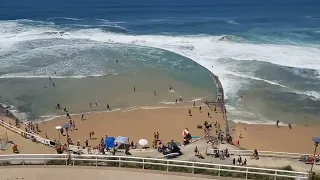 Carnage at the Canoe Pool || Evertone Safe Very Well