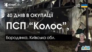 40 днів в окупації. ПСП “Колос”, Бородянка, Київська обл.