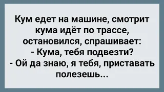 Кум на Трассе Подобрал Куму! Сборник Свежих Анекдотов! Юмор!