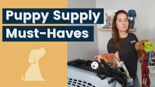 Puppy Essentials 25 MUST HAVE Items