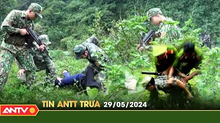 Tin tức an ninh trật tự nóng, thời sự Việt Nam mới nhất 24h trưa ngày 29/5 | ANTV