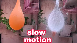 Popping Balloons in Slow Motion | crazy km